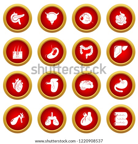 Internal human organs icons set. Simple illustration of 16 internal human organs icons for web