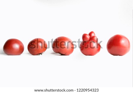 close up filled frame shot of an unusual unique strangely shaped odd red ripe tomato that stands out in a line of four normal tomatoes on a white background