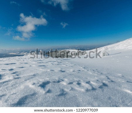 Winter calm mountain landscape with beautiful frosting trees and snowdrifts on slope (Carpathian Mountains, Ukraine). Composite image with considerable depth of field sharpness. 