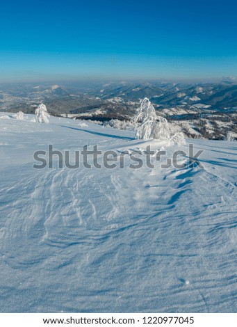 Morning winter calm mountain landscape with beautiful frosting trees and snowdrifts on slope (Carpathian Mountains, Ukraine)