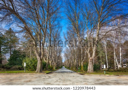The path of red chestnut trees in autumn. In front of the The White Palace (Beli Dvor) within the same complex as The Royal Palace, the official residence of the Karađorđevic royal family