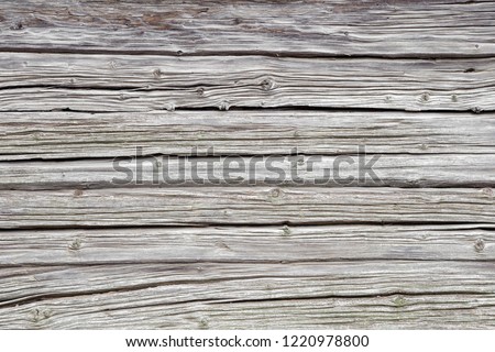 Light gray, old weathered wooden wall with horizontal lines as background. Empty place for text or objects. 