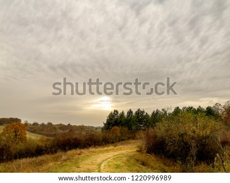 Beautiful forest in autumn with amazing colors, cloudy, sunset. Near the Kragujevac city in Serbia by the Sumarice lake