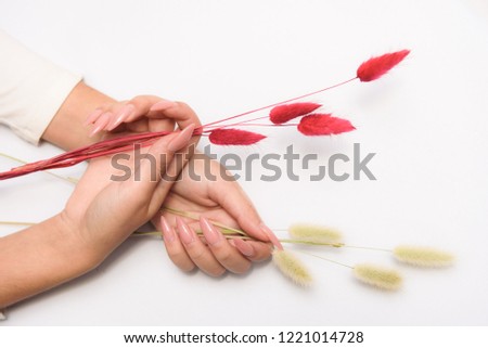 Studio photo concept of beautiful female beauty hands of a girl on a white background with natural flowers.