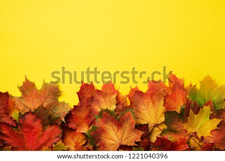 Colorful autumn leaves on yellow background with copy space. Cozy fall mood. Season and weather concept.