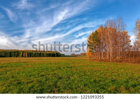 Autumn rural landscape mowed meadow on the background of trees with colorful foliage