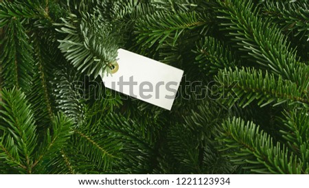 Creative layout made of Christmas tree branches with tag paper card note. Flat lay. Nature New Year concept.