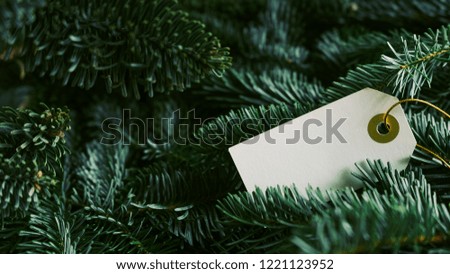 White sale tag on christmas tree branches