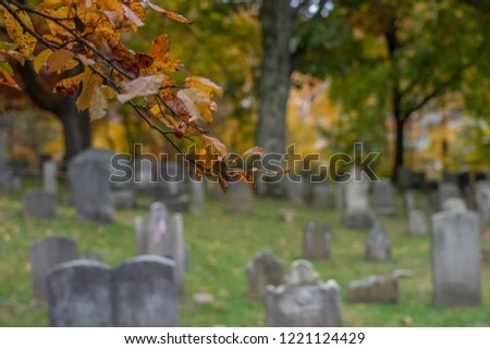 Sunny fall day, colorful foliage and a very old cemetery off focus in a background. 