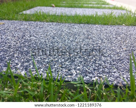 Green grass and cement sidewalk.