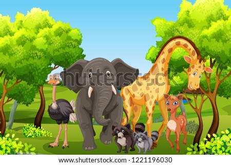 WIld animal in nature illustration