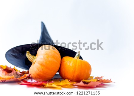 Decorative orange pumpkins on display for halloween - jack o lantern