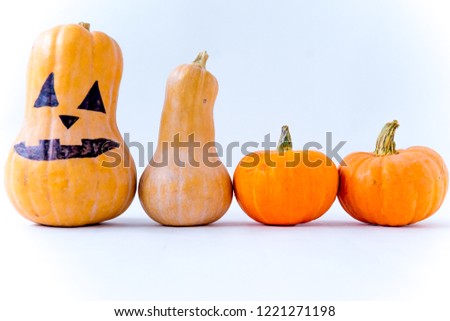 Decorative orange pumpkins on display for halloween - jack o lantern