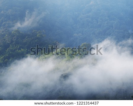 Fog and mountains in the morning of winter To go out Nature lovers For those who love and want to experience the cold.