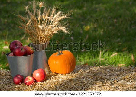 Fresh and juicy red apples with pumpkin in warm autumn sunny day on pile of straws on natural green background.