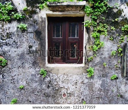 Old window with ivy plants. Trees covered exterior old house window. Asia Traditional house window surrounded by creeping plants.