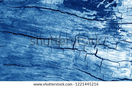 Old log cut macro in navy blue ton Abstract background and texture for design.