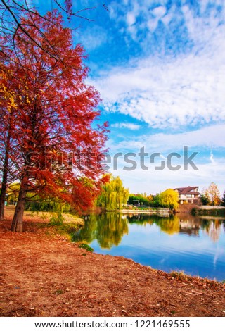 landscape with a red leaf tree by the lake shore with a house in the background