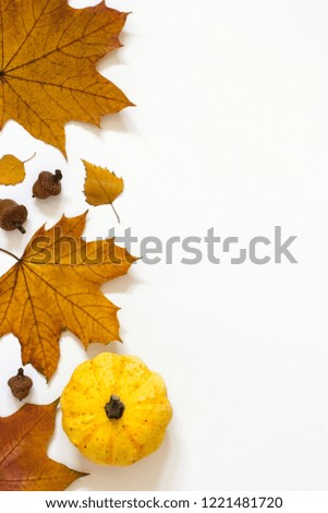 Autumn leaves ,pumpkin and acorns on white background. 

