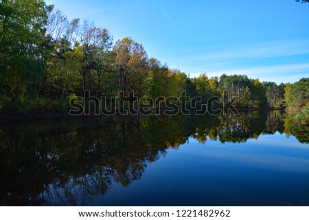 Beautiful view of a lake and reflection trees in de water in autumn
