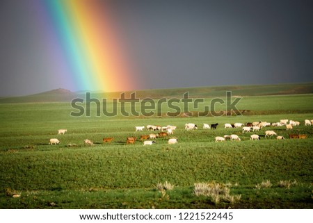 Bright rainbow colors at the Mongolian green steppes