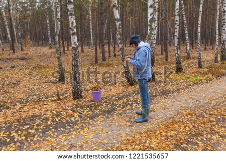 girl takes a picture of mushrooms collected in the autumn forest with a smartphone