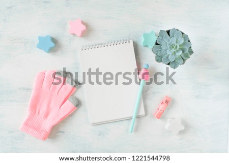 Winter mockup with warm knitted pink clothes, blanket, succulent in pot, notebook and pen. Minimal winter pastel colored background with copy space.