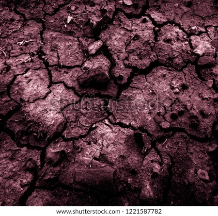 Cracked surface of the earth. Clay. Texture and Background