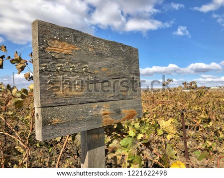 wooden sign board in a vineyard