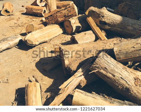 Abstract wood background texture 