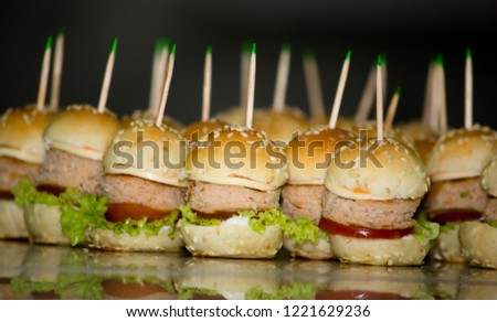 Mini Burgers and Canapes 