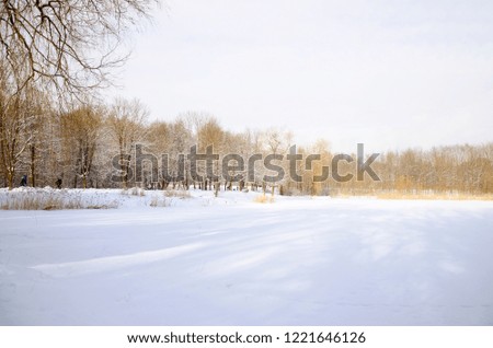 Winter landscape with sunset colored snow capped trees and snow covered plain