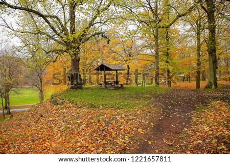 Amazing view of autumn landscape. Yellow orange fallen leaves as sign of fall. Park / forest / outdoor. Beautiful nature landscape backgrounds.