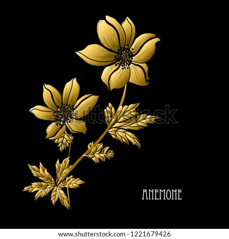 Decorative anemone flowers, design elements. Can be used for cards, invitations, banners, posters, print design. Golden flowers
