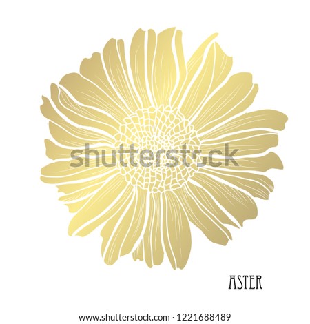 Decorative aster  flower, design element. Can be used for cards, invitations, banners, posters, print design. Golden flowers