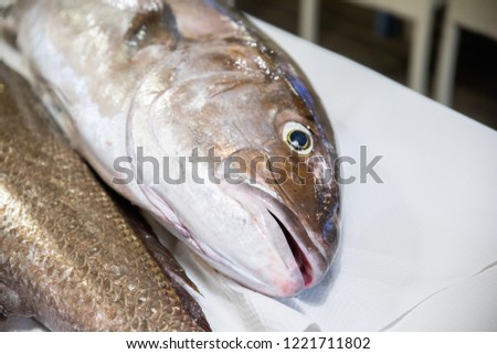 head and face with eye and mouth of fresh raw dead big fish Greater Amberjack, or Seriola Dumerili, on white paper tablecloth on table