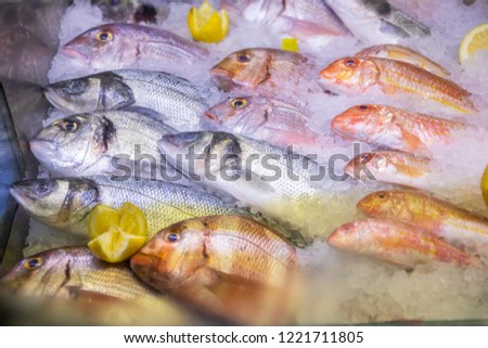 fresh fish varied (sea bass, bream, red mullet), ordered and placed in ice with cut lemon, ready to cook, in restaurant or market