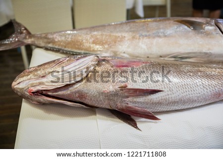 two big fresh raw fish Corvina (croaker, meager, meagre, jewfish) and Greater Amberjack, or Seriola Dumerili, on white paper tablecloth on table