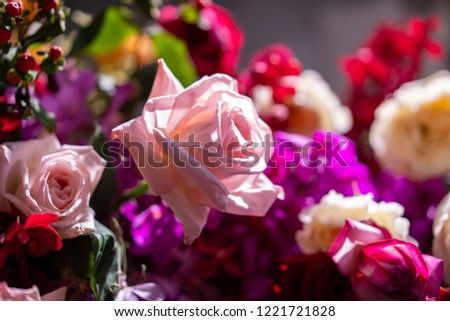 Flowers in the spring, colorful, natural, beautiful bouquet filled with many varieties of various kinds on the background of the beautiful garden full of color and scent.