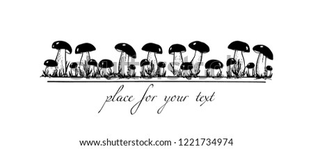 Vector card with hand drawn wild mushrooms. Ink drawing, graphic style. Beautiful food design elements