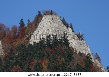 Limestone peak in Three Crowns massif, Pieniny Mountains, Poland, forest in autumnal / fall colors, blue clear sky.