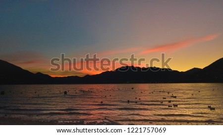 Sunset on the lake with many ducks on the water