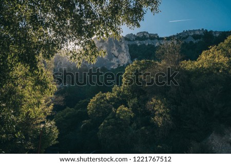 Large space in the frame - forest in the background of the mountain - tonal perspective