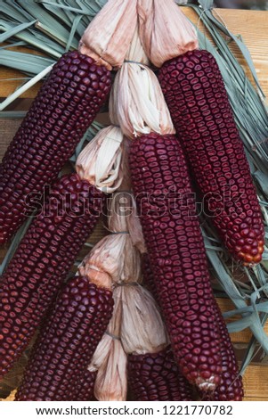 Sweet red corn