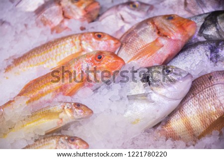 fresh raw fish varied (red mullet, sea bass, bream), ordered and placed in ice, ready to cook, in showcase of restaurant or market