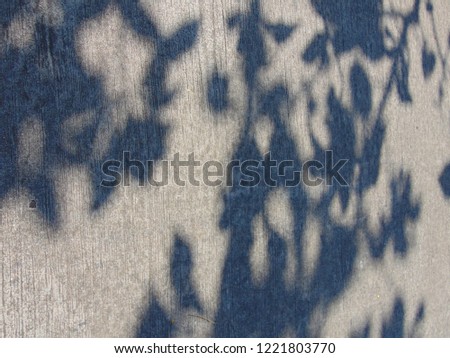 Shadow of the tree on the street.