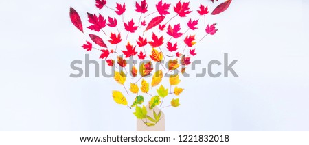 Creative Top view flatlay autumn concept composition. Different leaves gradient colorful rainbow fly out of craft paper envelope on white background isolated. Wide banner Mockup for season. Copy space