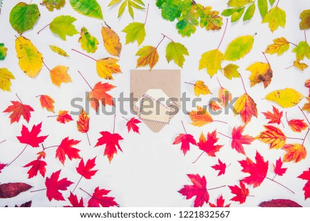 Creative Top view autumn composition - inverted craft envelope with blank empty cards and free copy space on fallen leaves gradient colorful rainbow background. Template mockup for seasonal sales