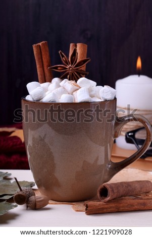 Hot chocolate with marshmallows, cinnamon and anise. Autumn composition