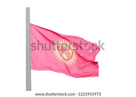 Flag of Kyrgyzstan isolated on white background
